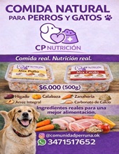 446a9910-7c16-4bee-9e29-b427804093fe - copia.jpg